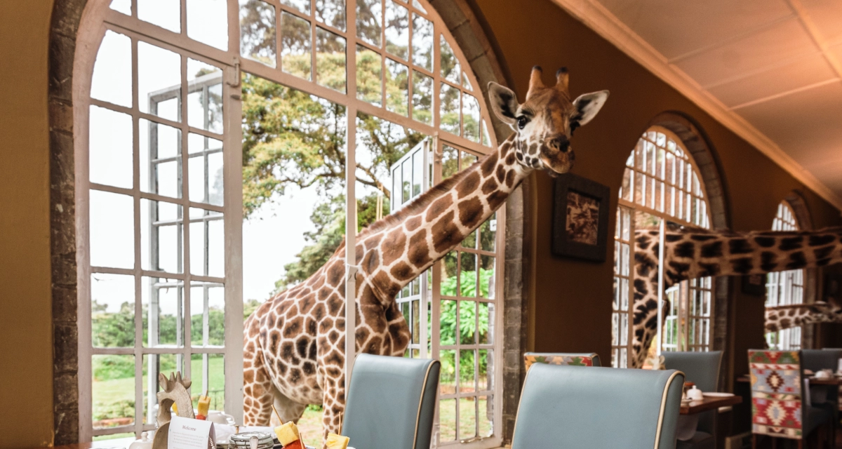 Giraffe Manor