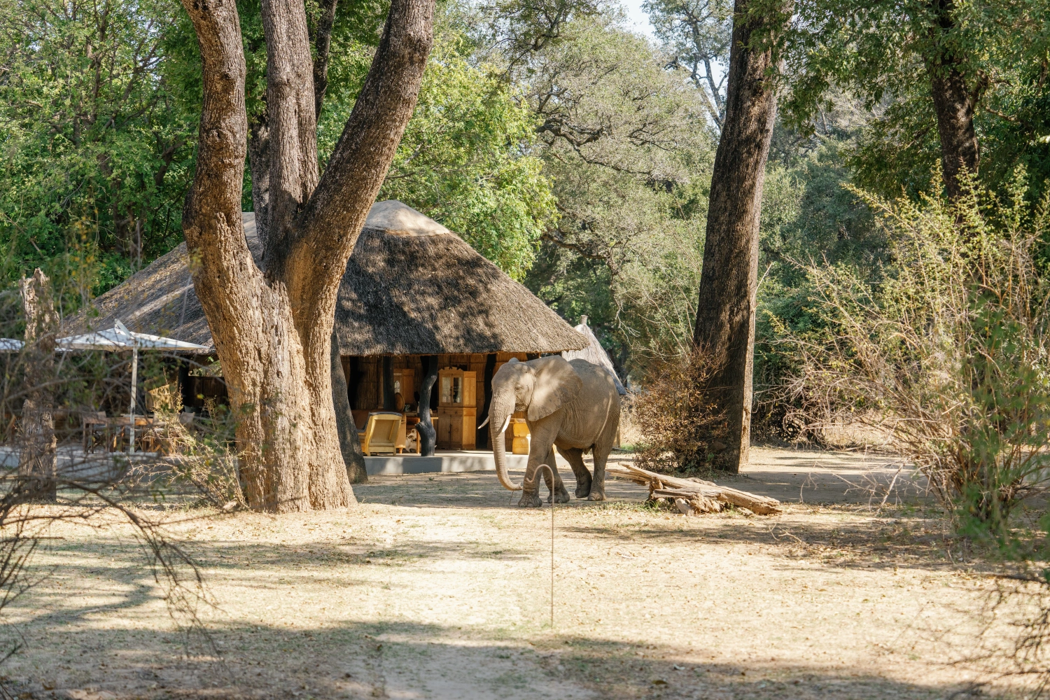 Time + Tide Mchenja