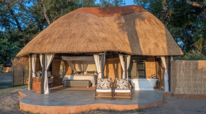 Safari Room at Time + Tide Mchenja