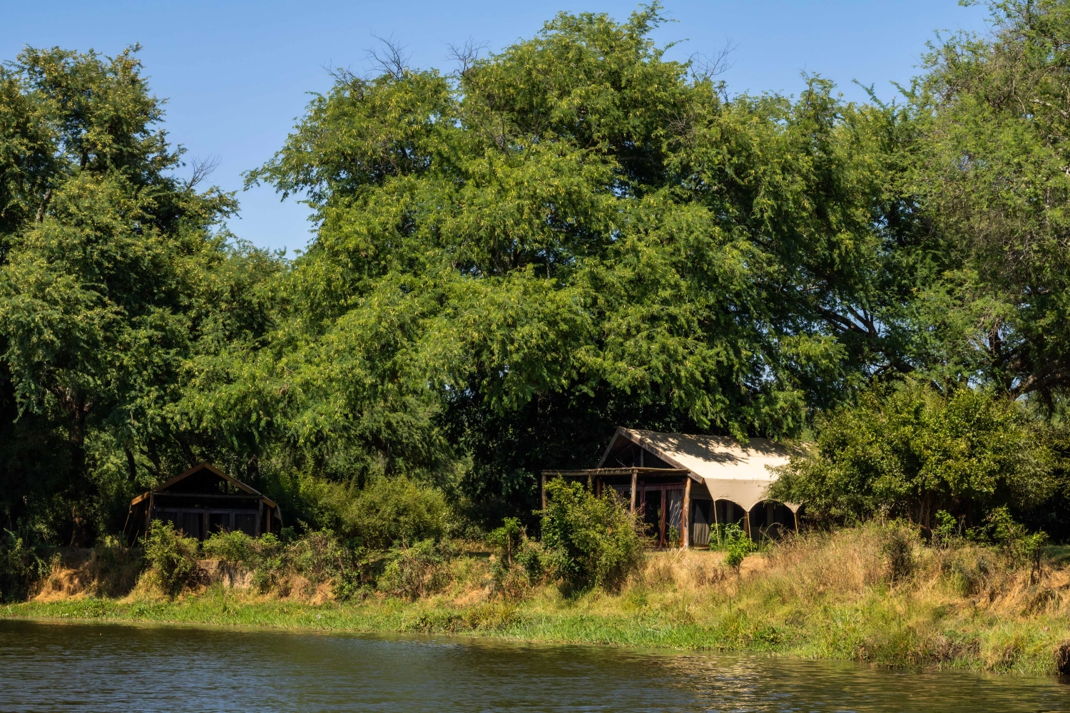 Time + Tide Chongwe Camp