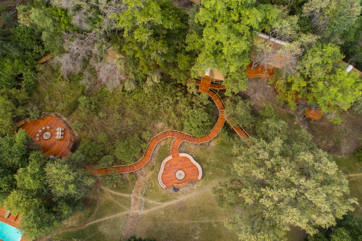Camp Moremi