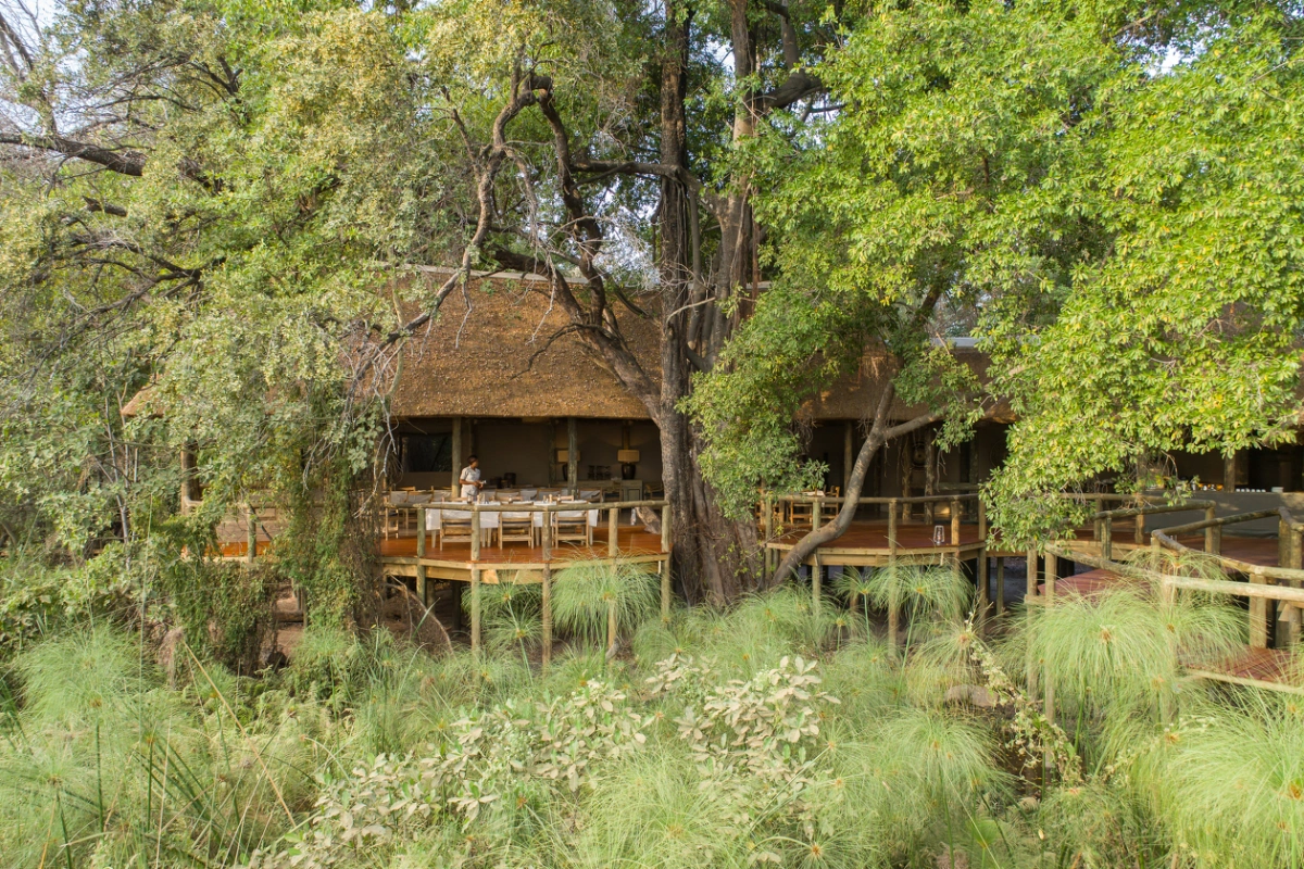 Camp Moremi