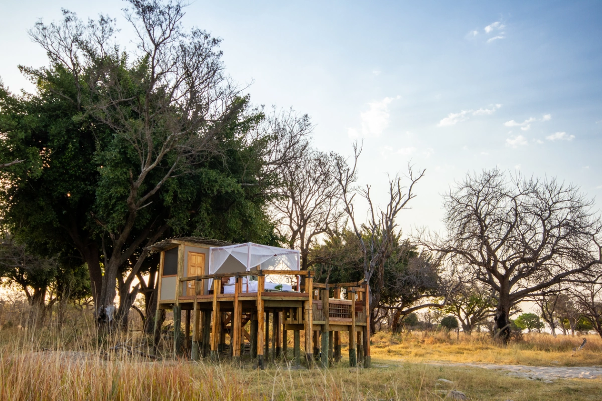 Camp Okavango