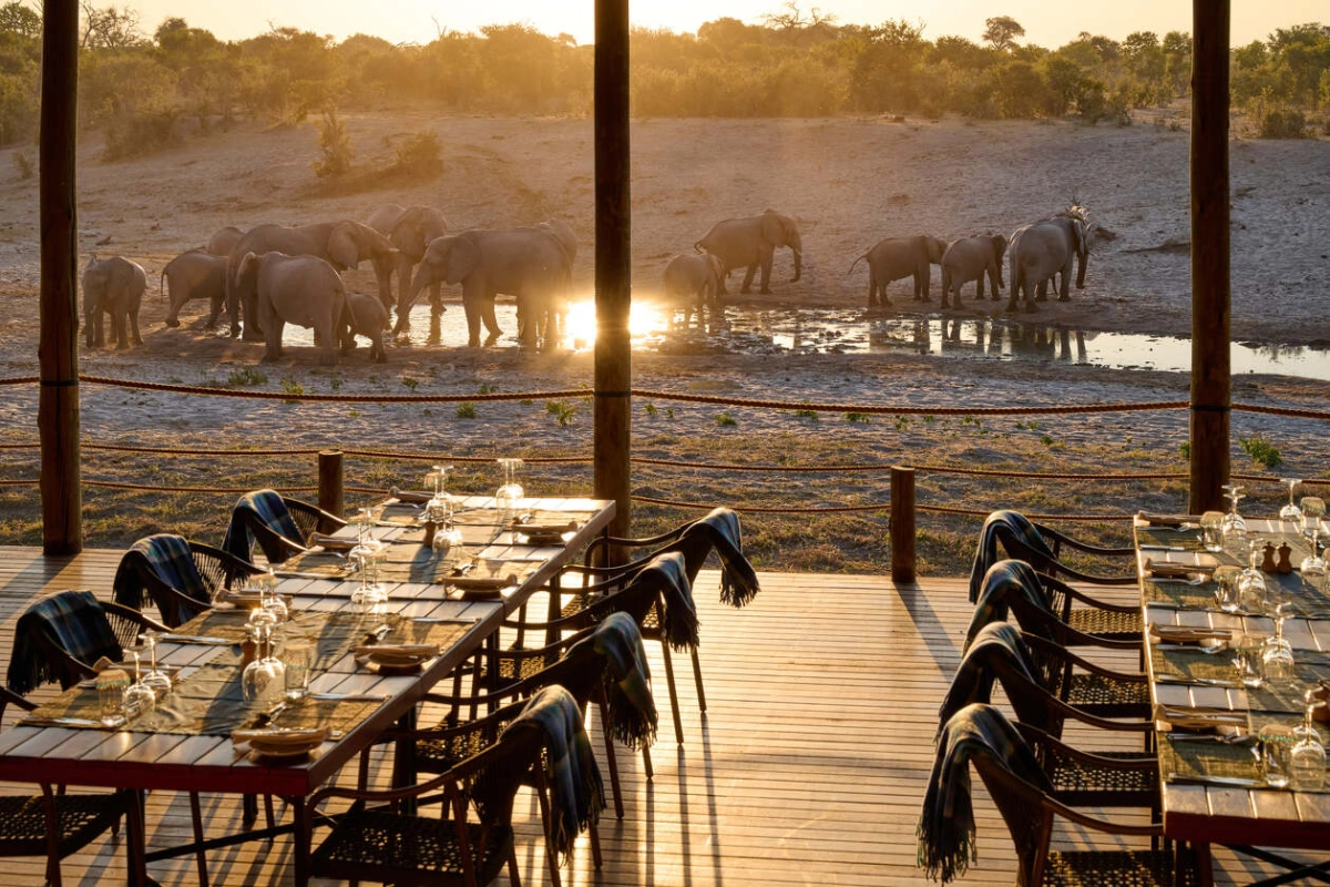 Savute Safari Lodge