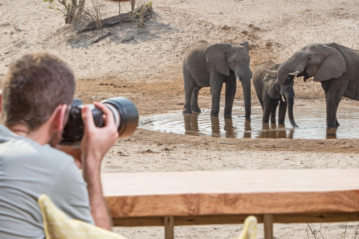Savute Safari Lodge