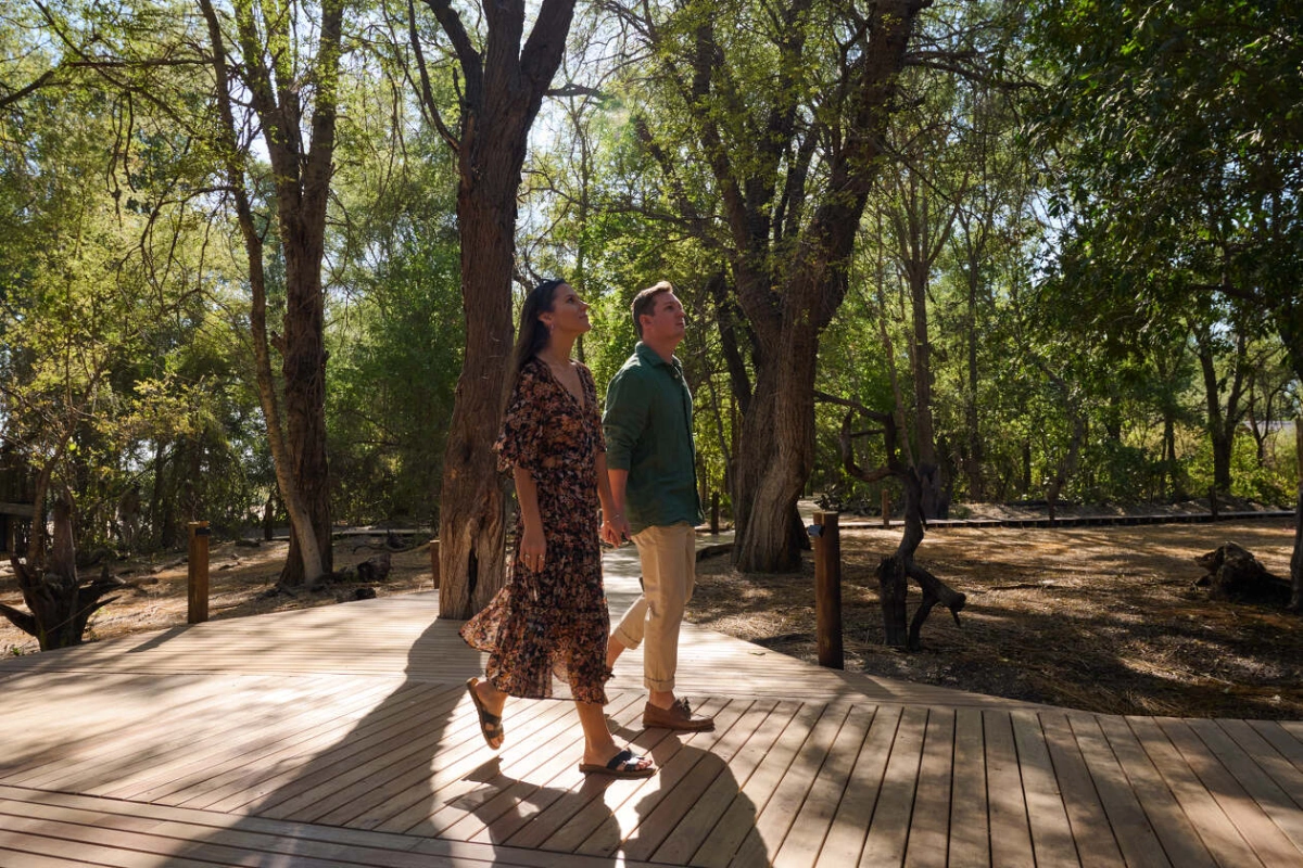 Savute Safari Lodge