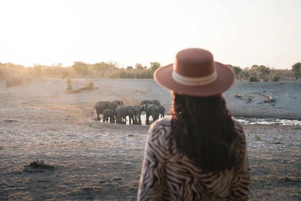 Savute Safari Lodge