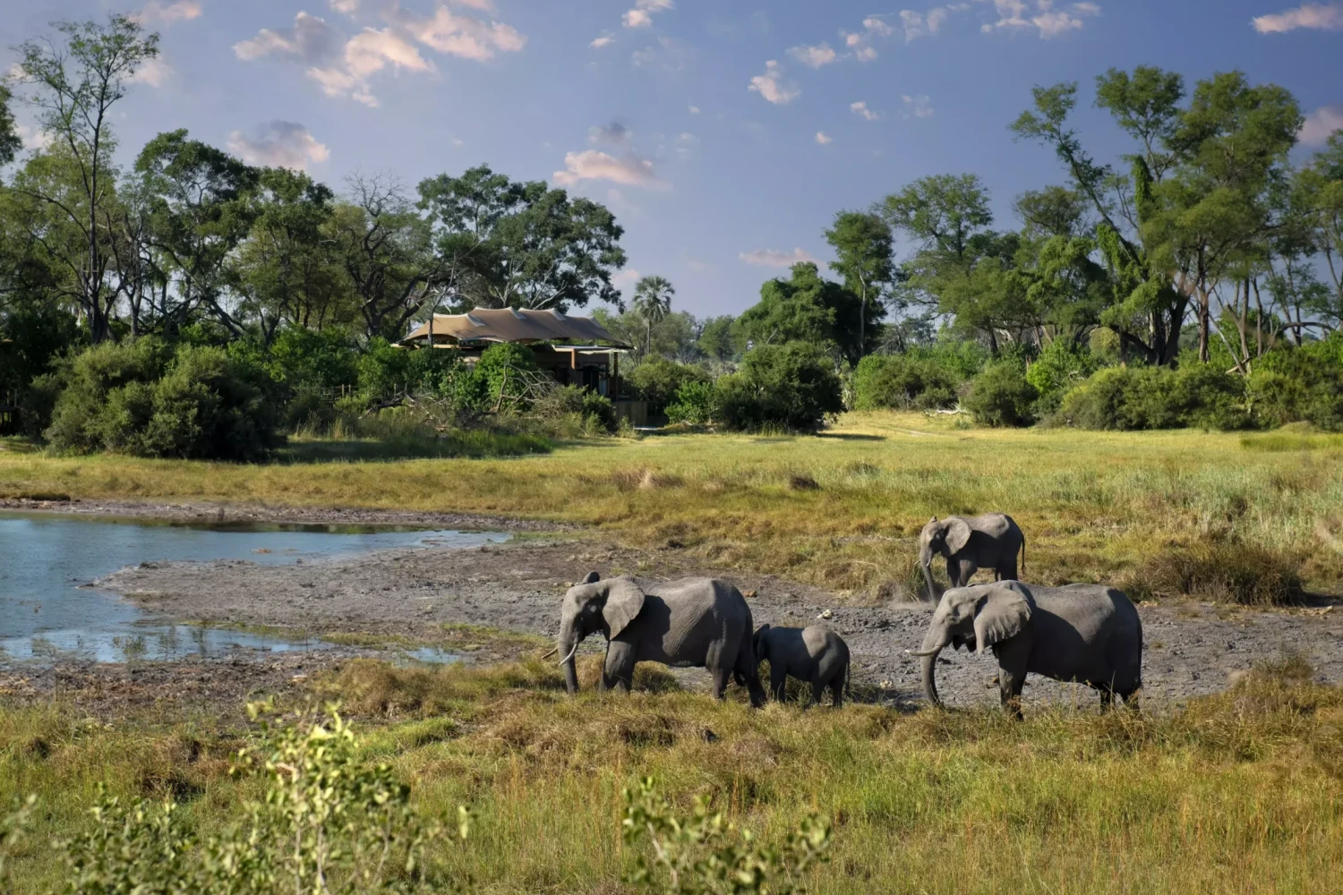 Atzaro Okavango Camp