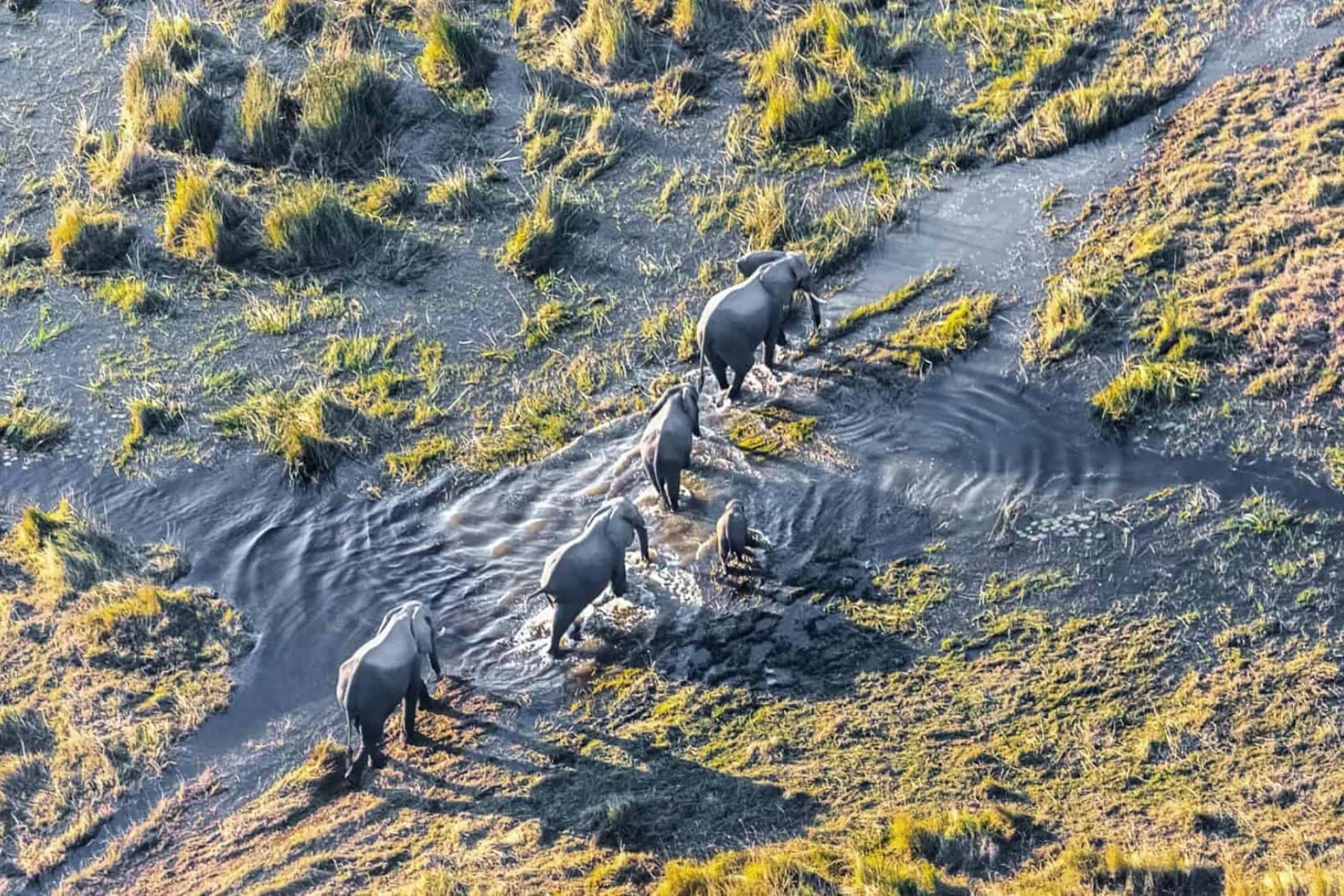 Atzaro Okavango Camp
