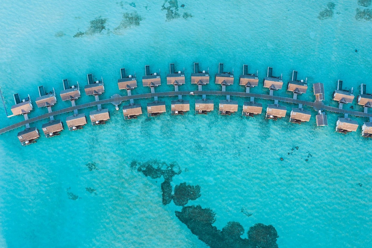 Ozen Life Maadhoo