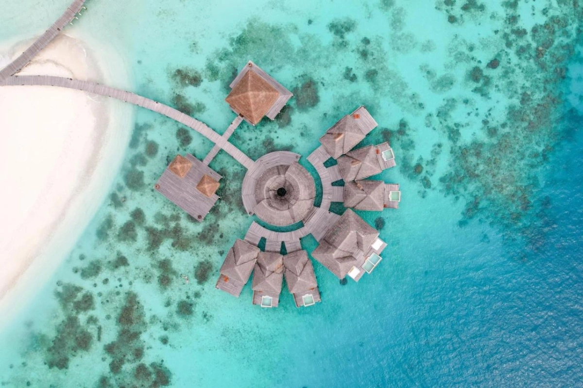 Coco Bodu Hithi