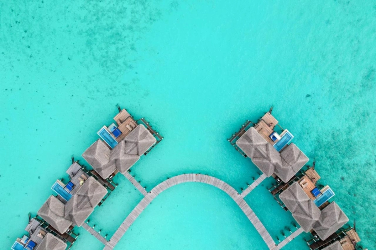 Coco Bodu Hithi