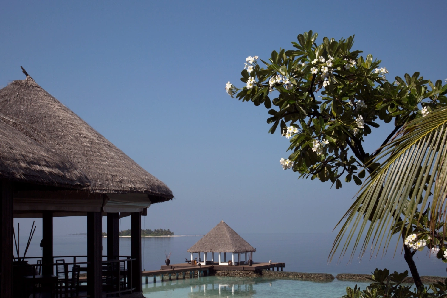 Coco Bodu Hithi