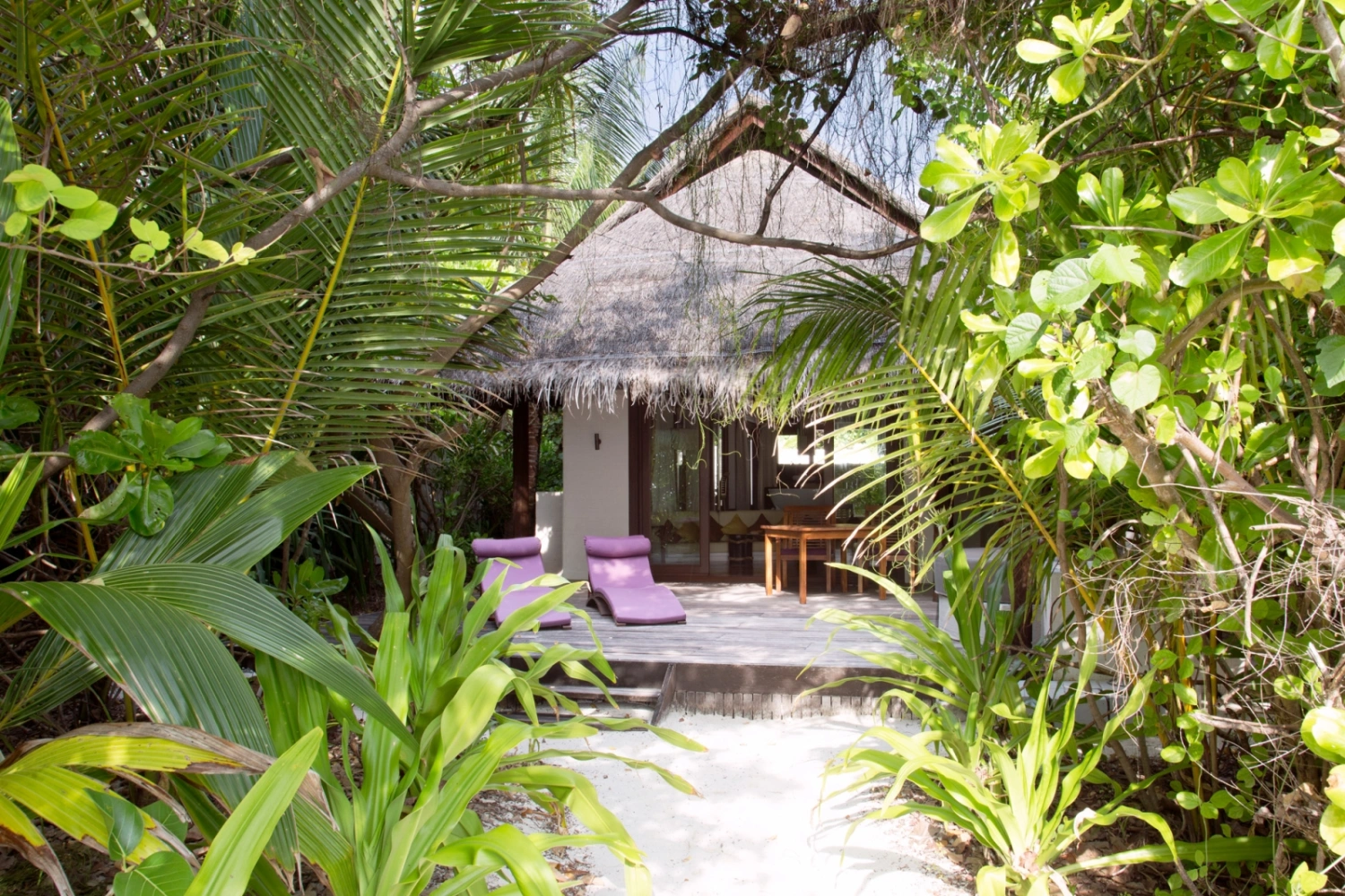 Coco Bodu Hithi