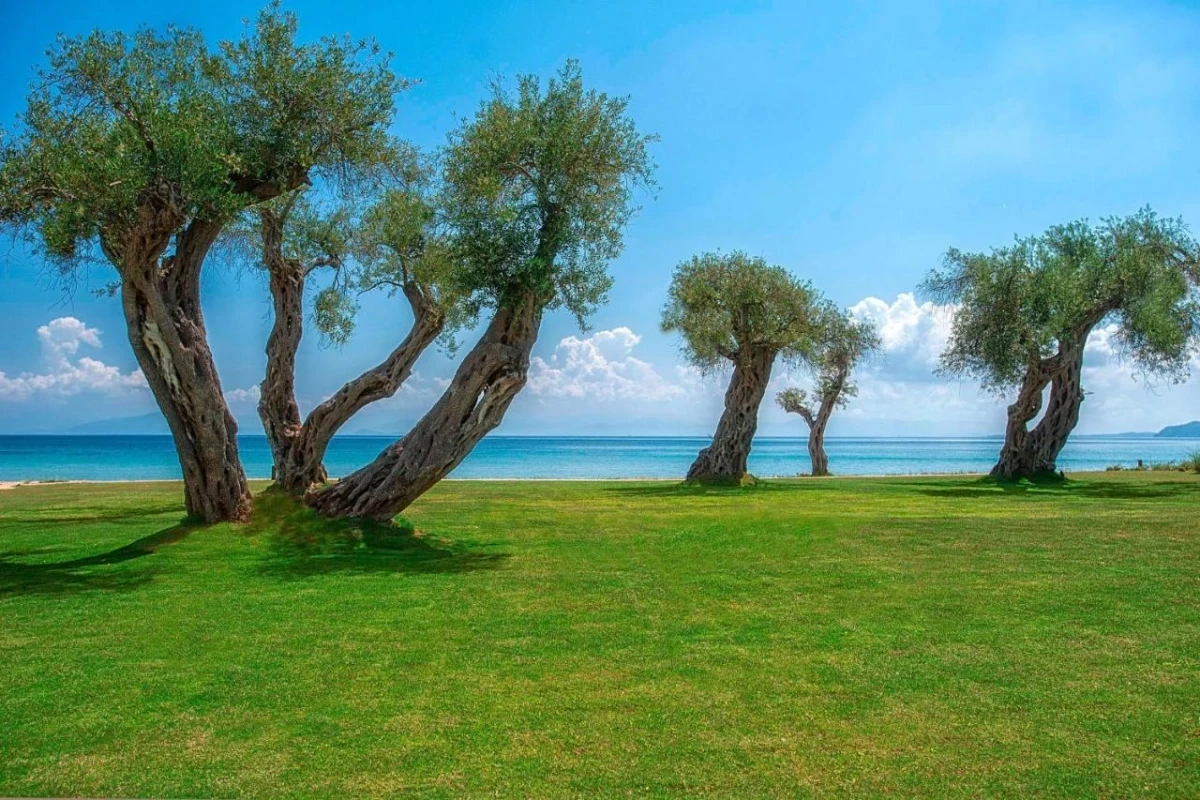 Domes Miramare, A Luxury Collection Resort