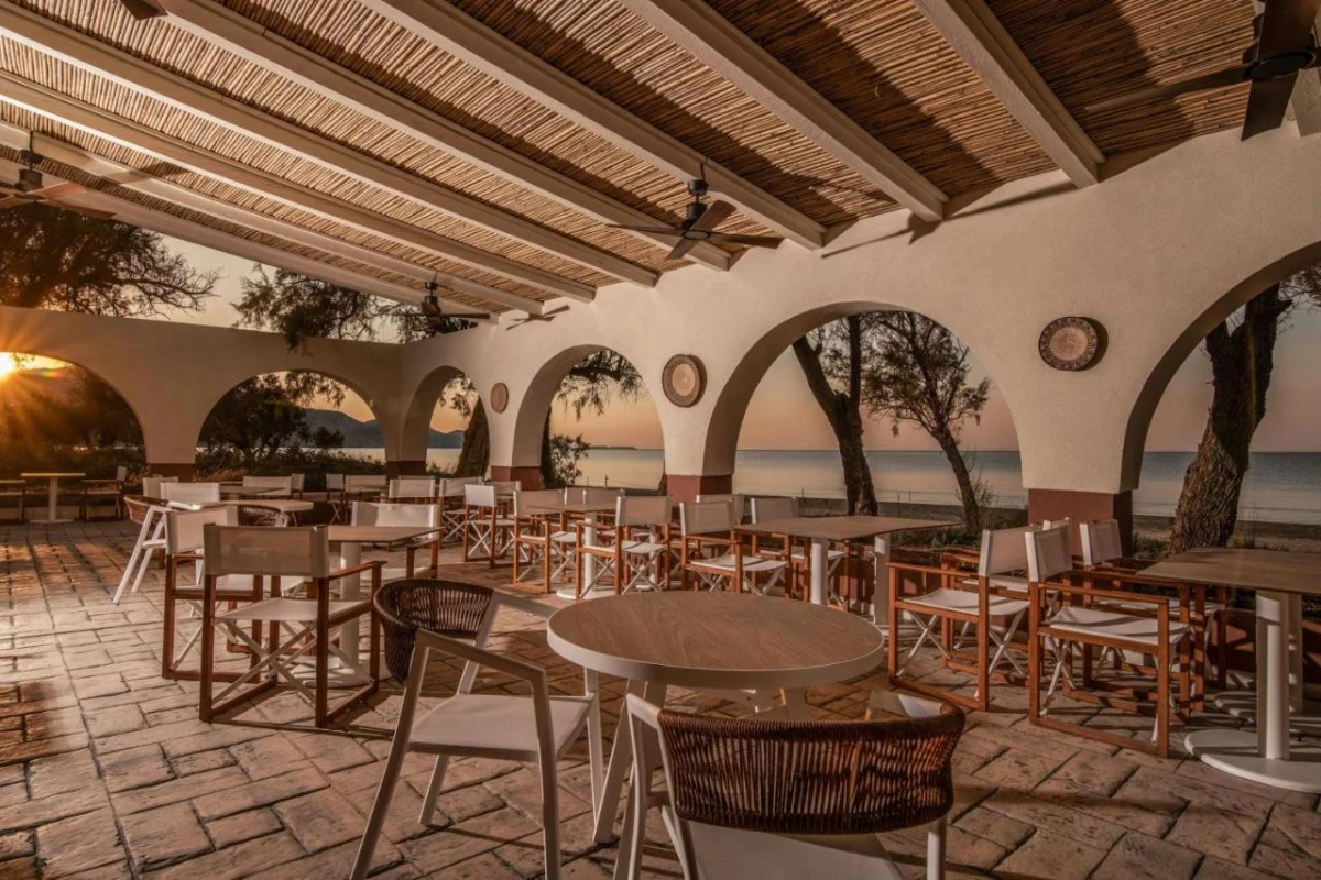 Domes Aulus Zante, Autograph Collection