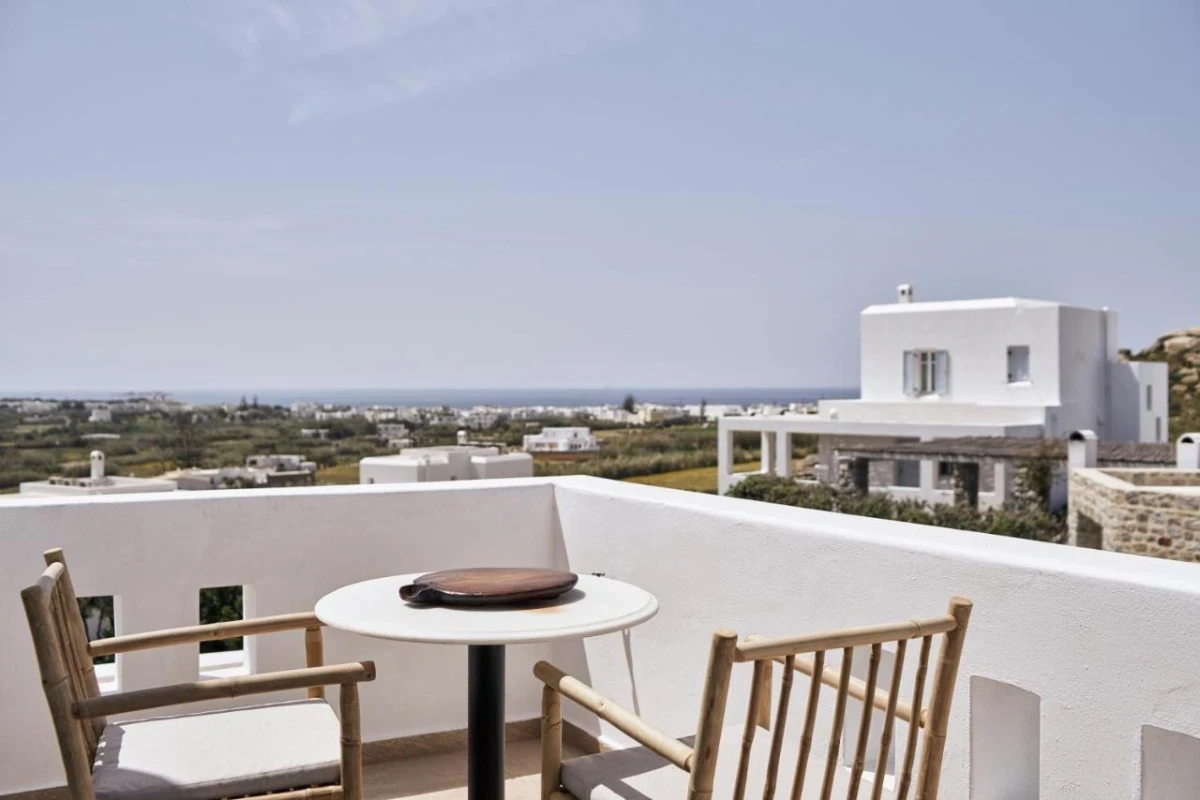 The Naxian Collection