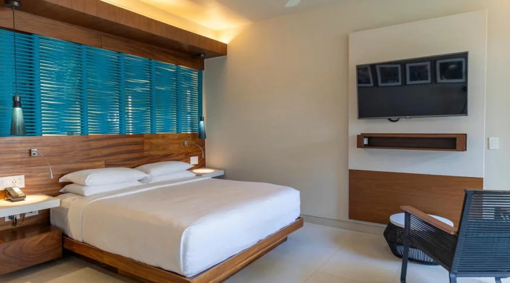 Premium Plunge Garden View, One King at Grand Hyatt Playa Del Carmen Resort
