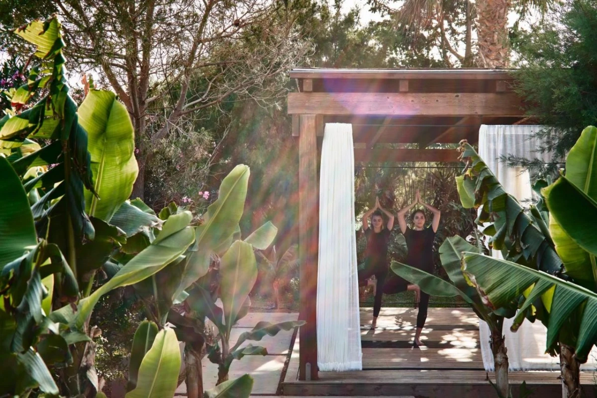 Phaea Cretan Malia, A Member of Design Hotels