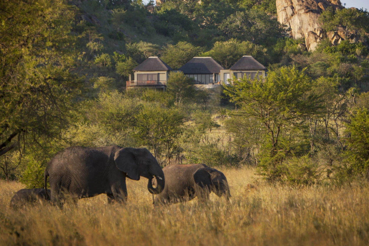 Four Seasons Safari Lodge Serengeti