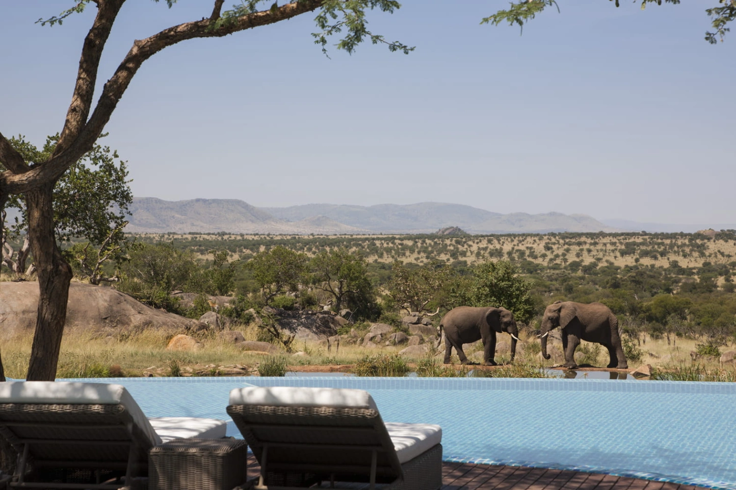 Four Seasons Safari Lodge Serengeti