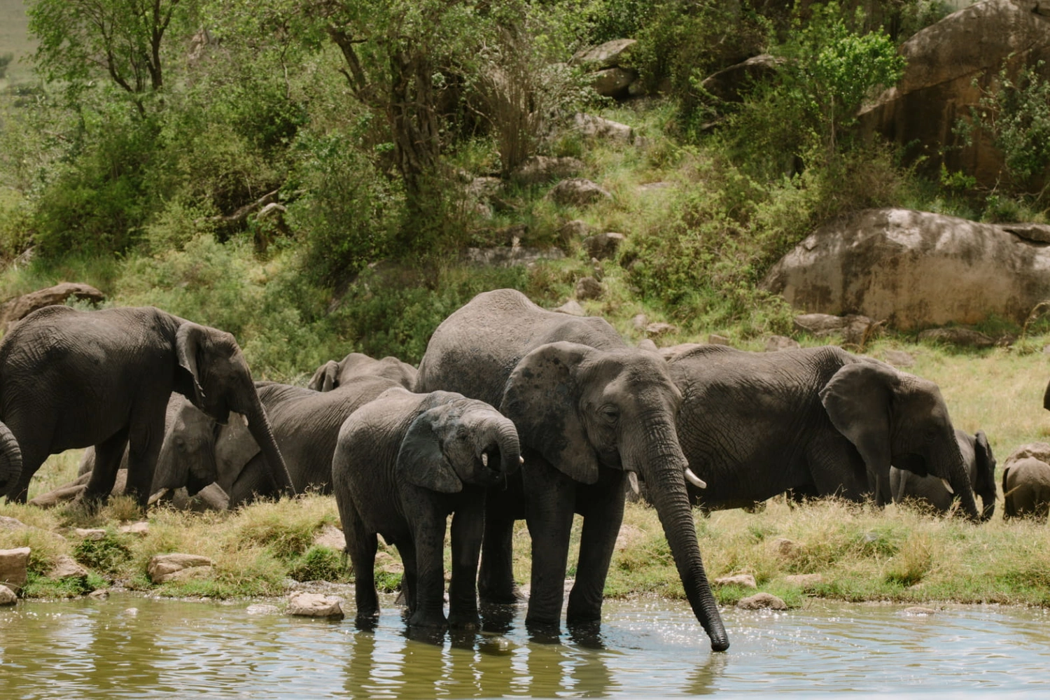 Four Seasons Safari Lodge Serengeti