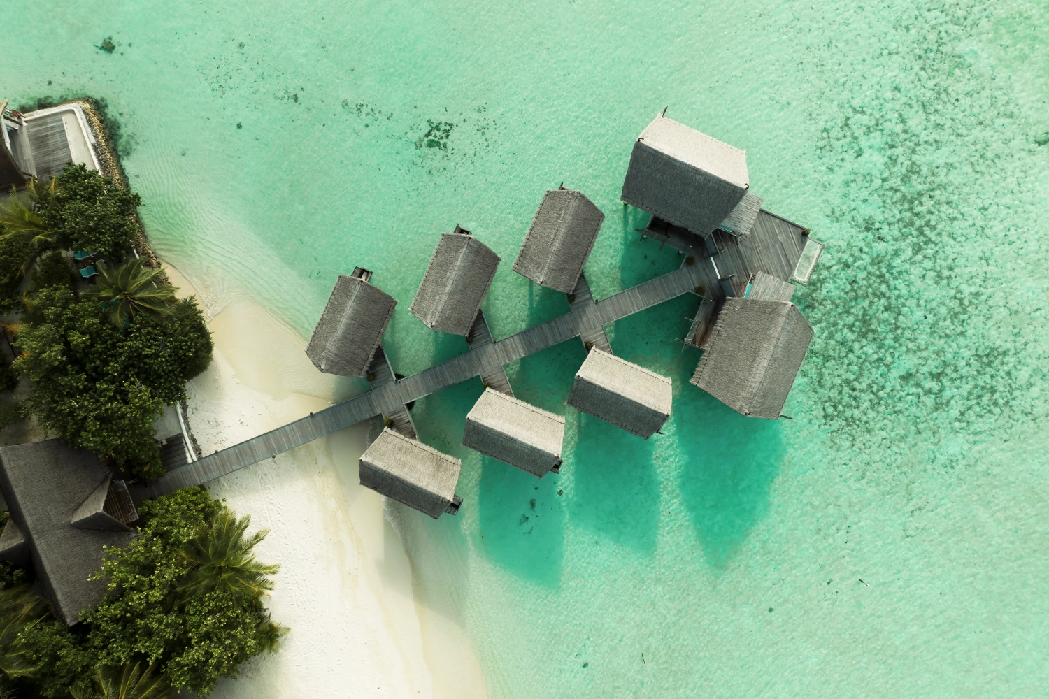 Constance Moofushi