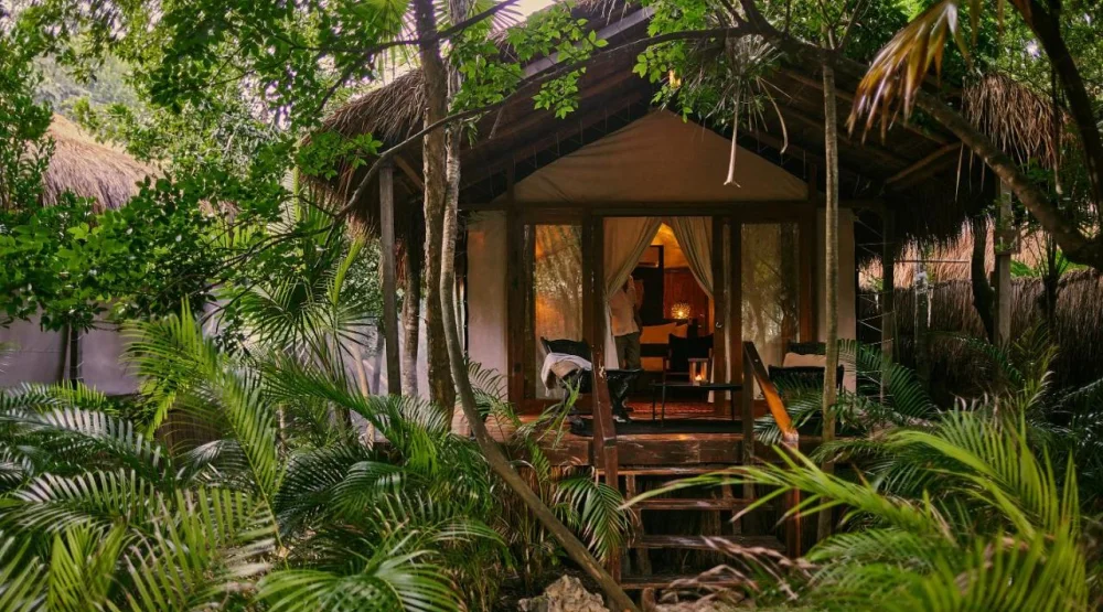 Double Jungle at Our Habitas Tulum