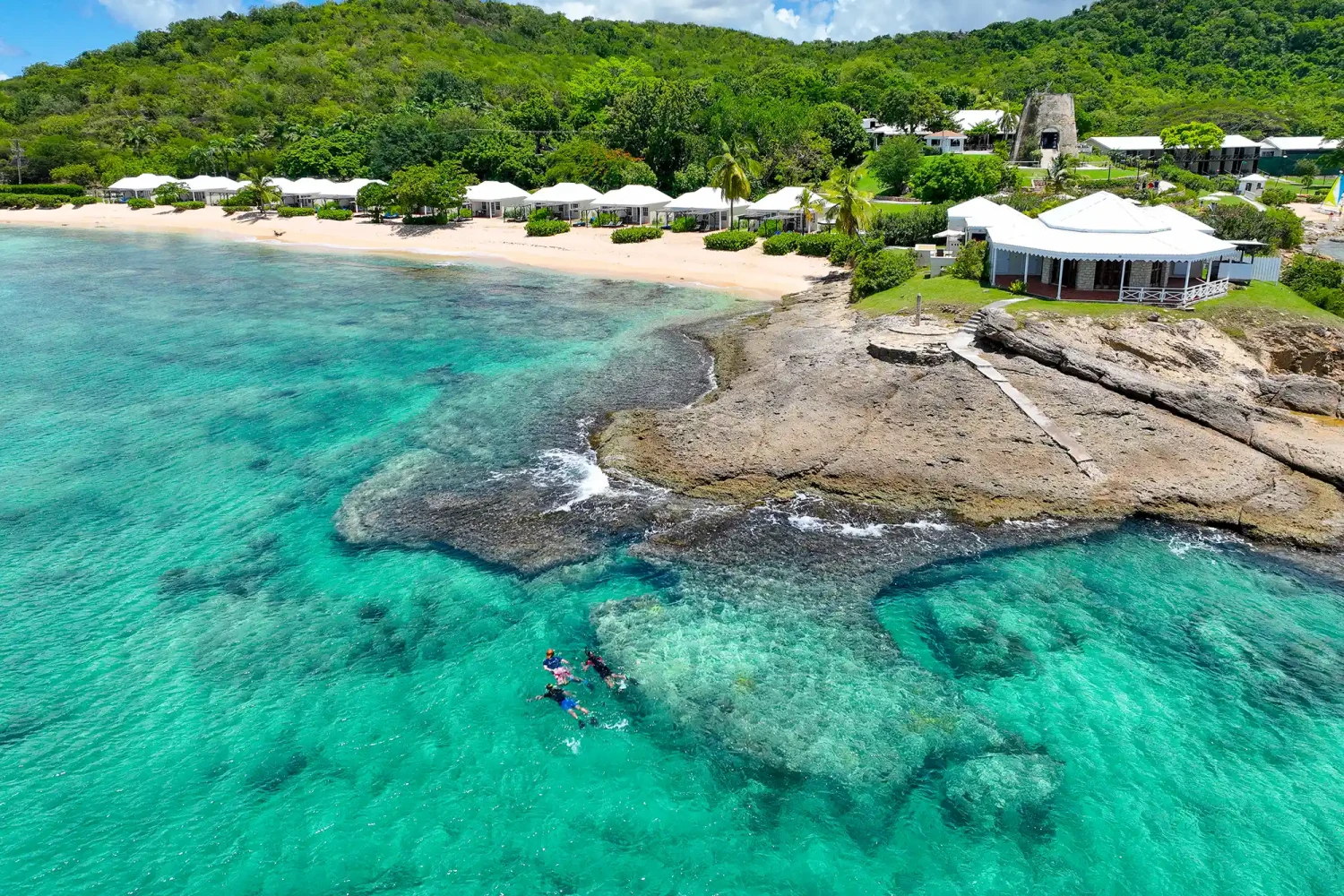 Hawksbill