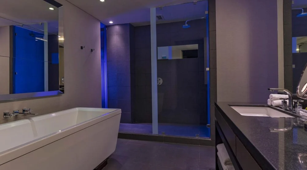 Wonderful, Guest Room, One King, City View at W Santiago