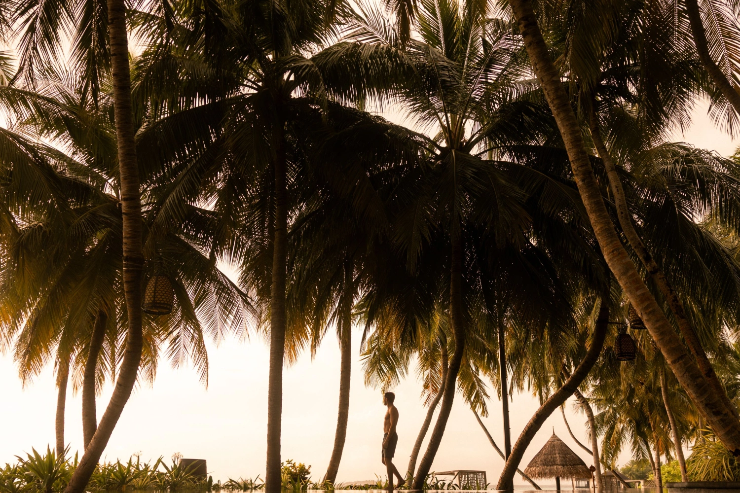 One&Only Reethi Rah