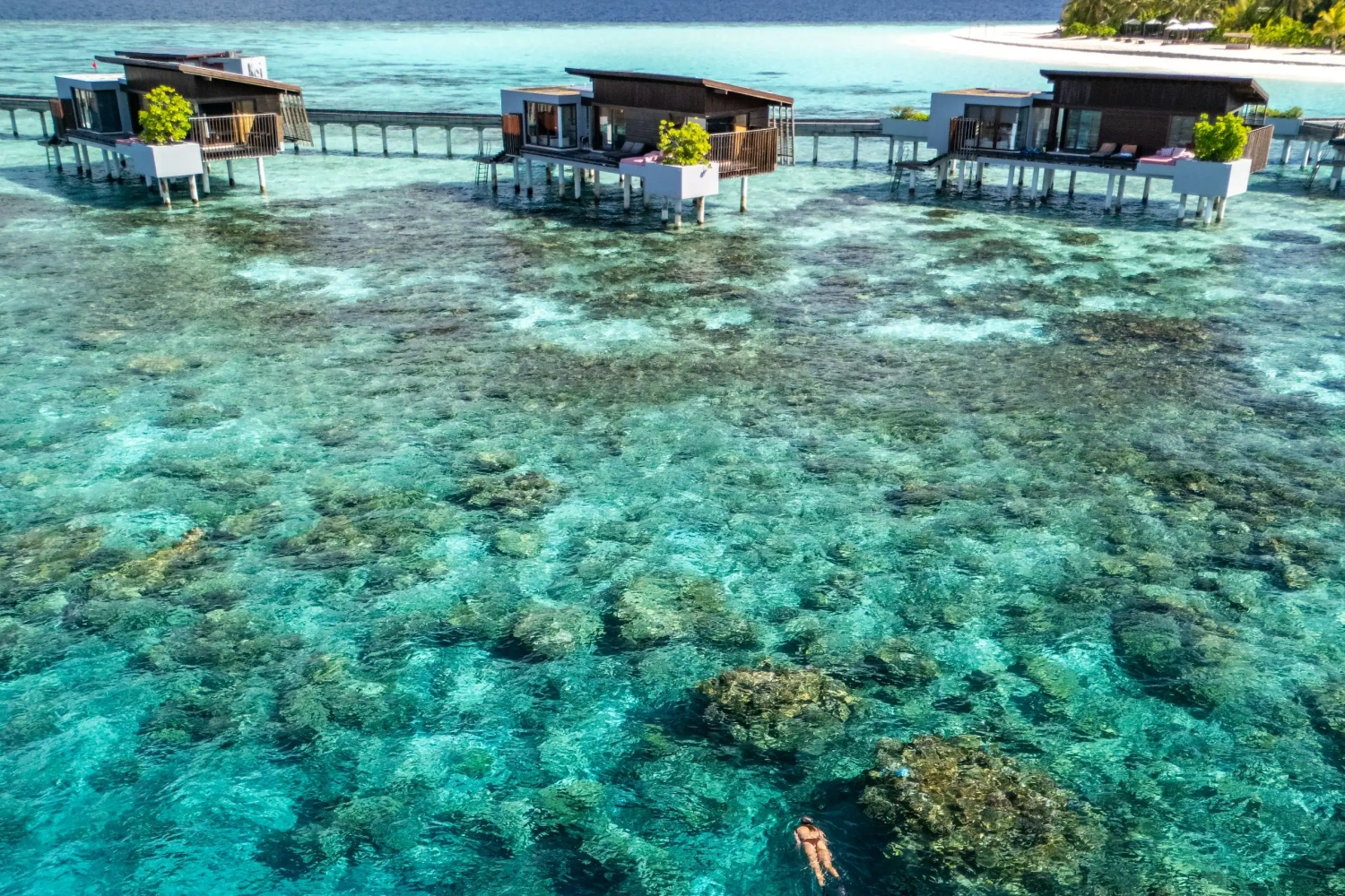 Park Hyatt Maldives Hadahaa