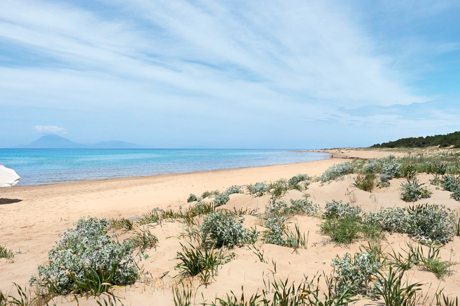 Mandola Rosa, A Resort to Live